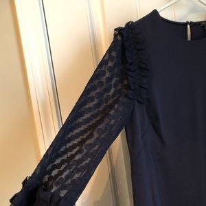 Ann Taylor shift dress. Size 2